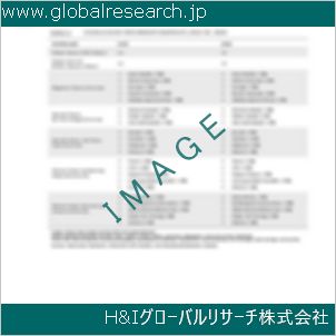 グローバルリサーチ調査資料のイメージ